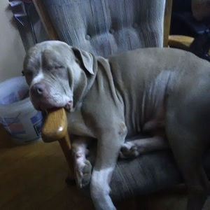 Meet your Posher, Sean